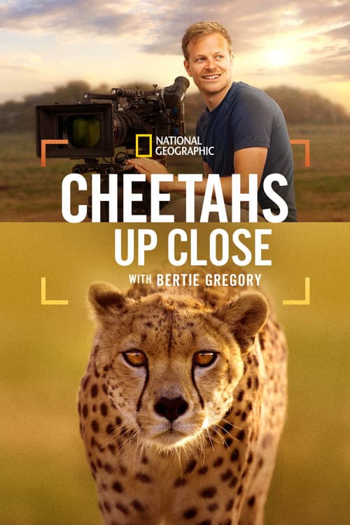 Poster for Cheetahs Up Close with Bertie Gregory