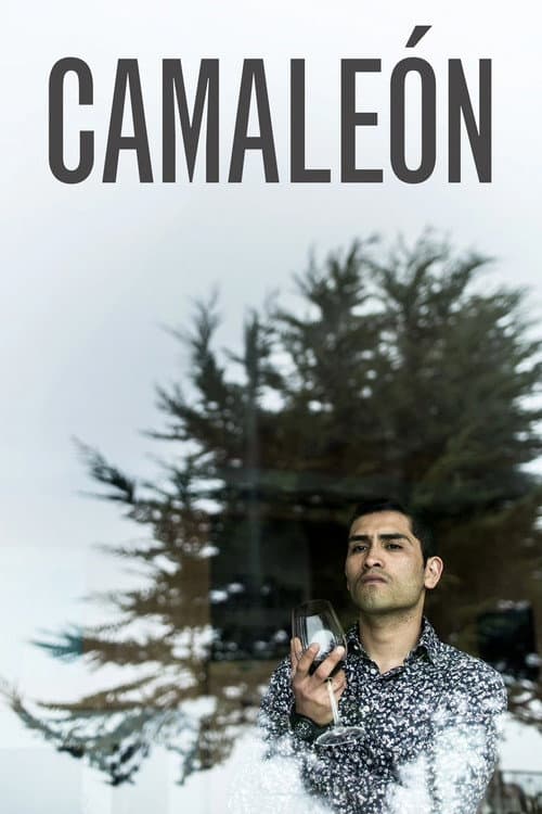 Постер до фільму «Chameleon»