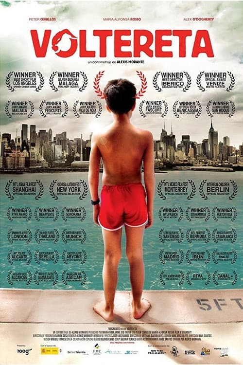 Poster for Somersault