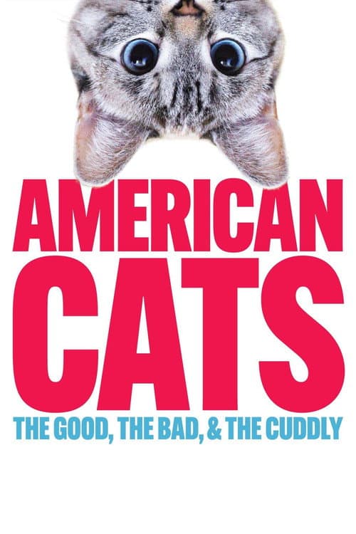 Poster for American Cats: The Good, the Bad, and the Cuddly