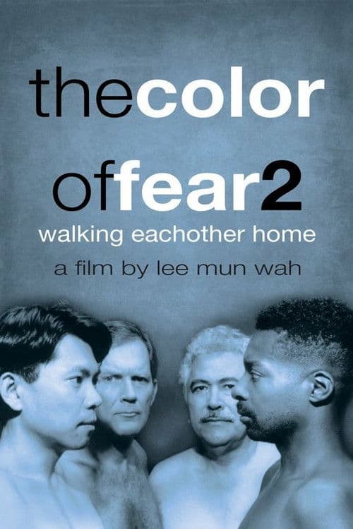 Poster for The Color of Fear 2: Walking Each Other Home