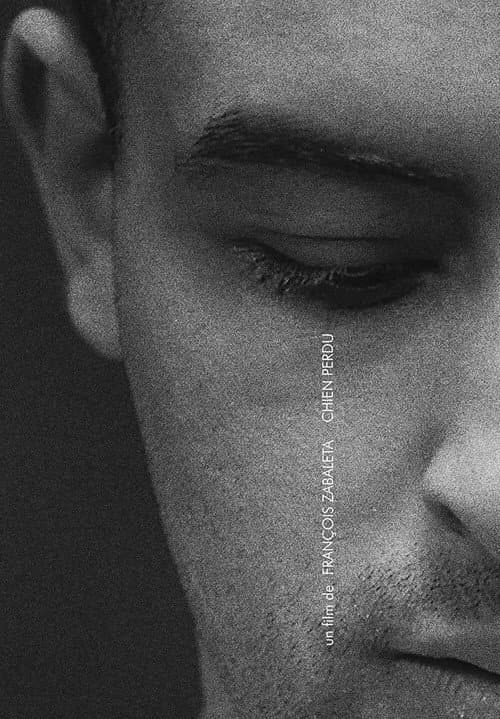 Poster for Chien perdu