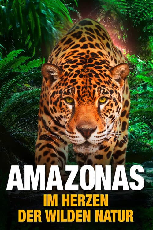 Poster for AMAZON 3D