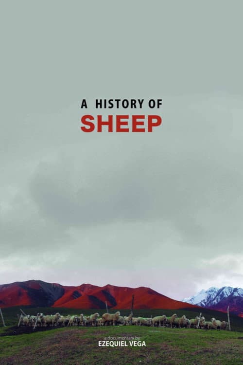Poster for A History Of Sheep