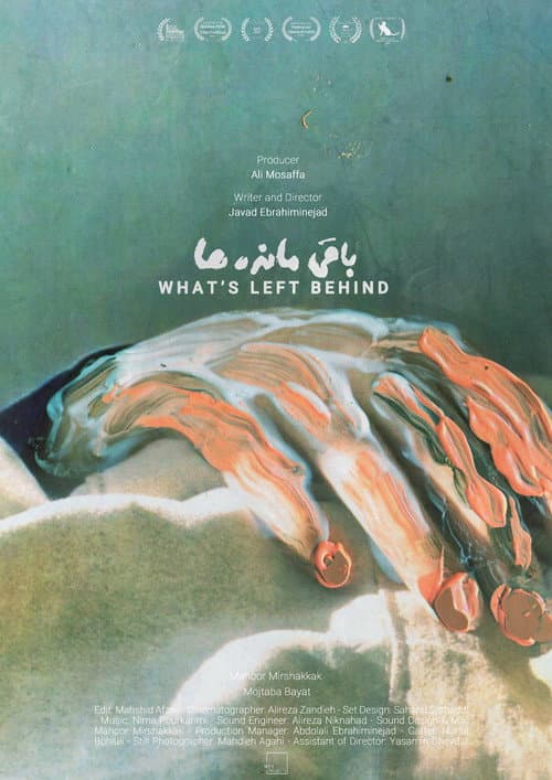Poster for What's Left Behind