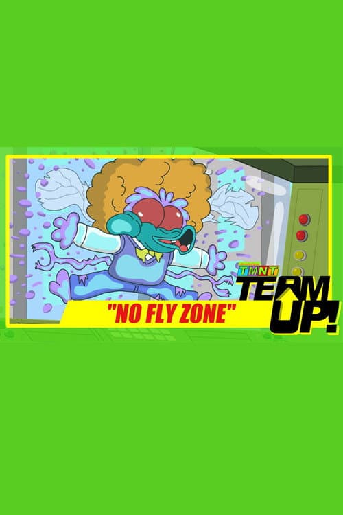 Poster for TMNT Team Up! - No Fly Zone