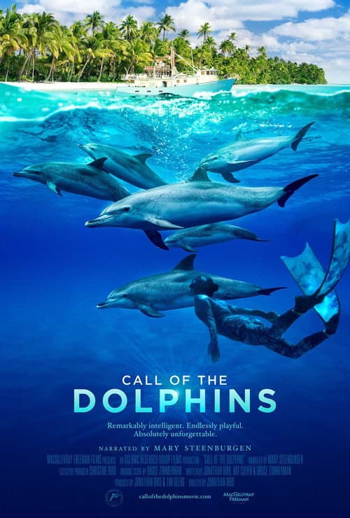 Poster for Call of the Dolphins
