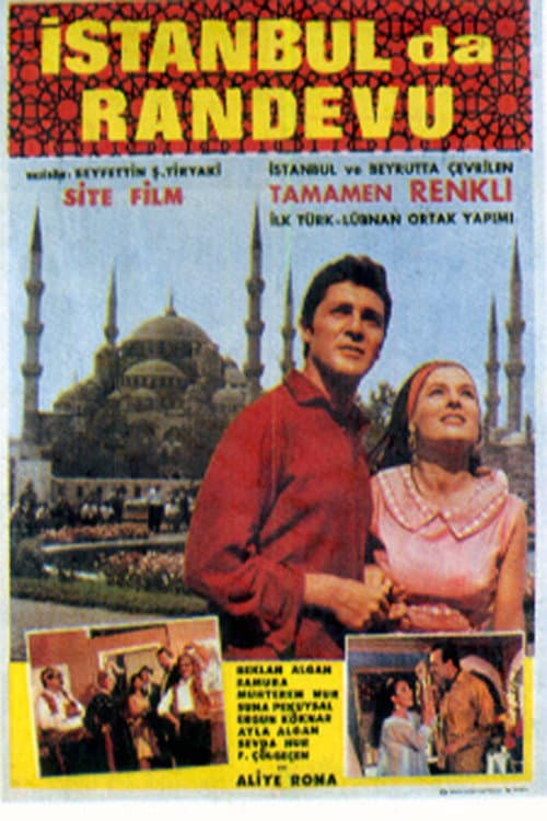 Poster for Love in Istanbul