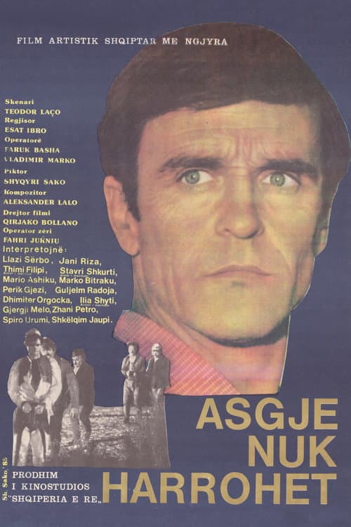 Poster for Nothing is Forgotten