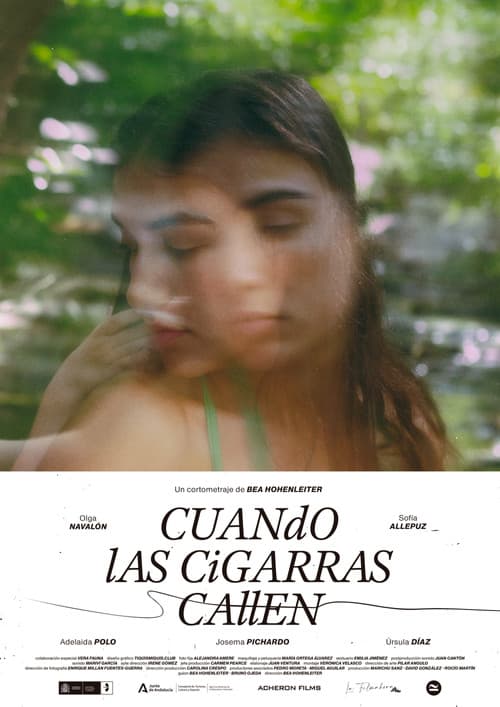 Poster for When the cicades fall silent