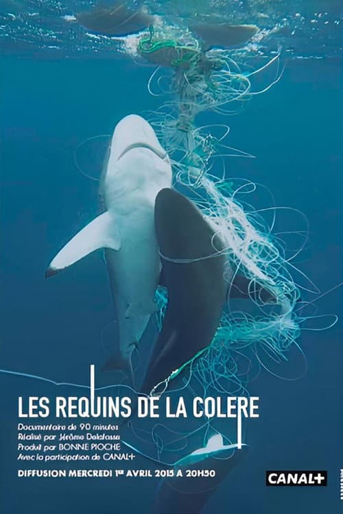 Poster for Les Requins de la Colère