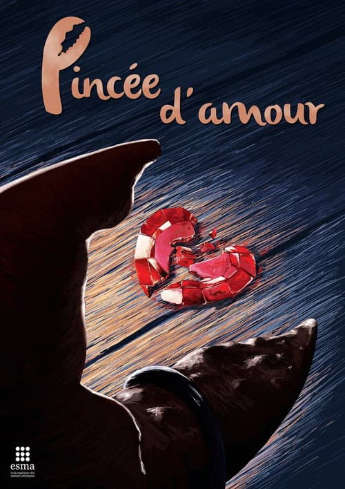 Постер до фільму «Pincée d'amour»
