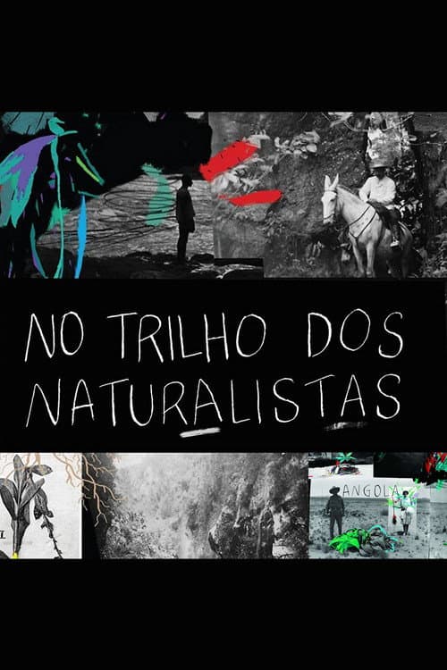 Poster for No Trilho dos Naturalistas: Angola