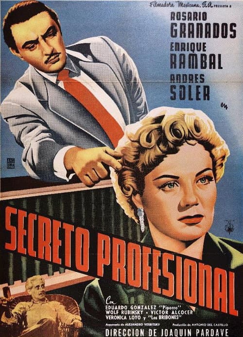 Poster for Secreto profesional