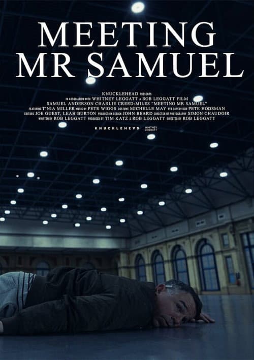 Poster for Meeting Mr Samuel
