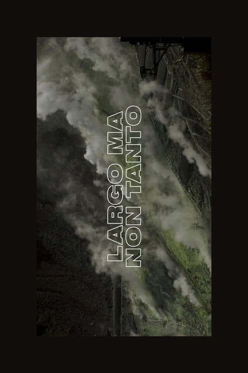 Poster for Largo Ma Non Tanto