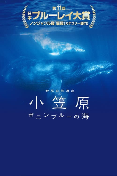Poster for World Natural Heritage Ogasawara - The Sea of Bonin