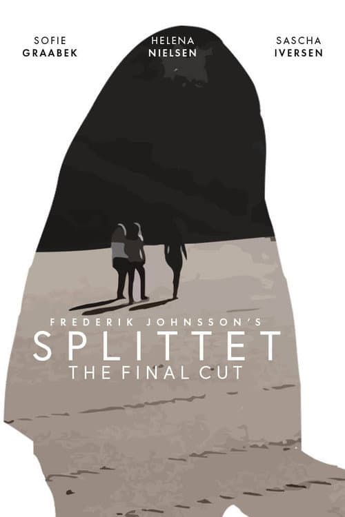 Poster for Divided