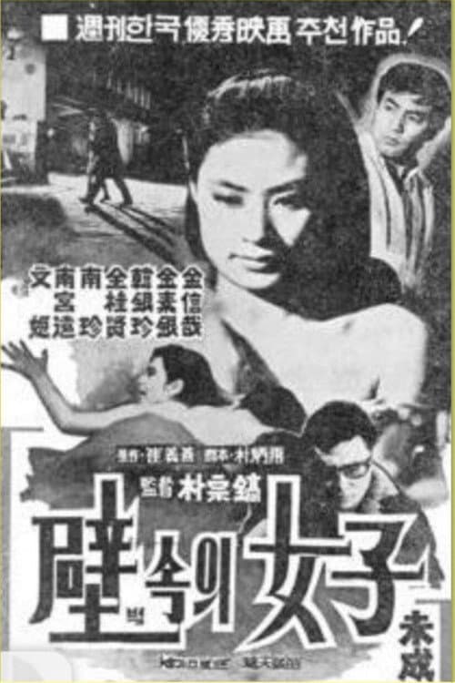 Poster for A Woman in the Wall