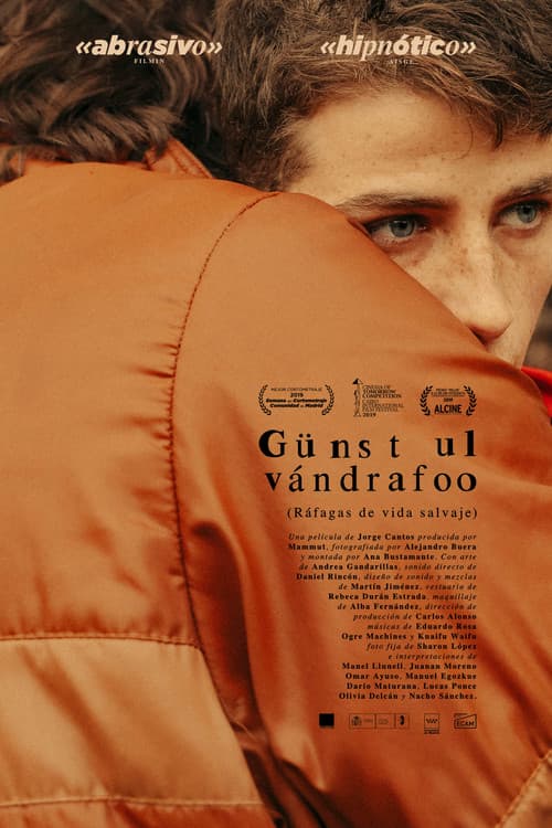 Poster for Gusts of Wild Life