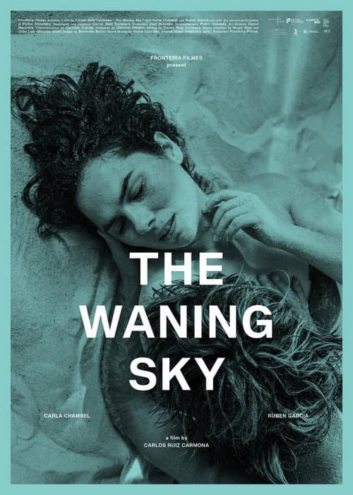 Poster for The Waning Sky