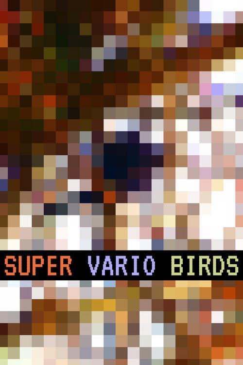 Poster for Super Vario Birds