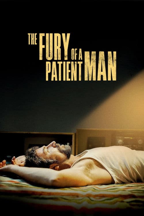 Poster for The Fury of a Patient Man