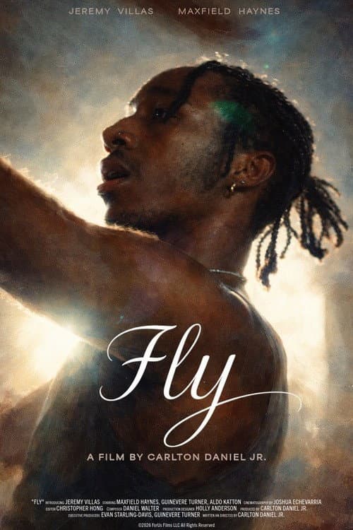 Poster for Fly
