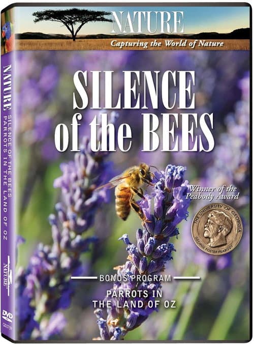 Poster for Silence of the Bees