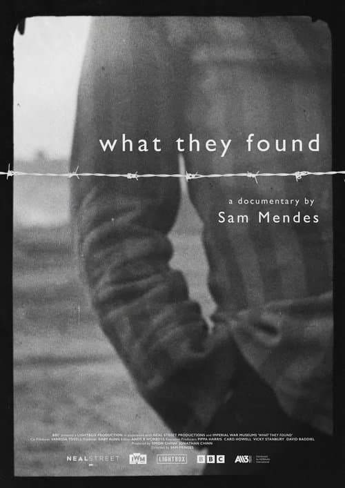 Poster for What They Found