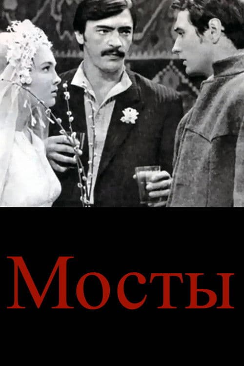 Постер до фільму «Мости»