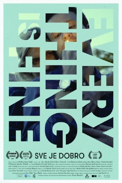 Poster for Everything Is Fine