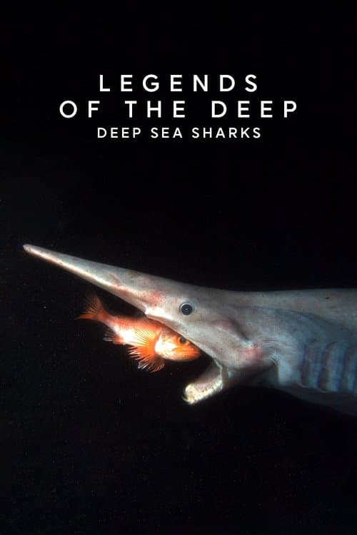 Poster for Legends of the Deep: Deep Sea Sharks