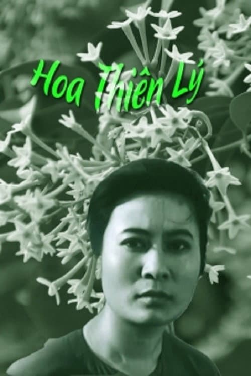 Poster for Tonkin Jasmine Flower