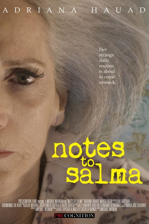 Постер до фільму «Notes To Salma»