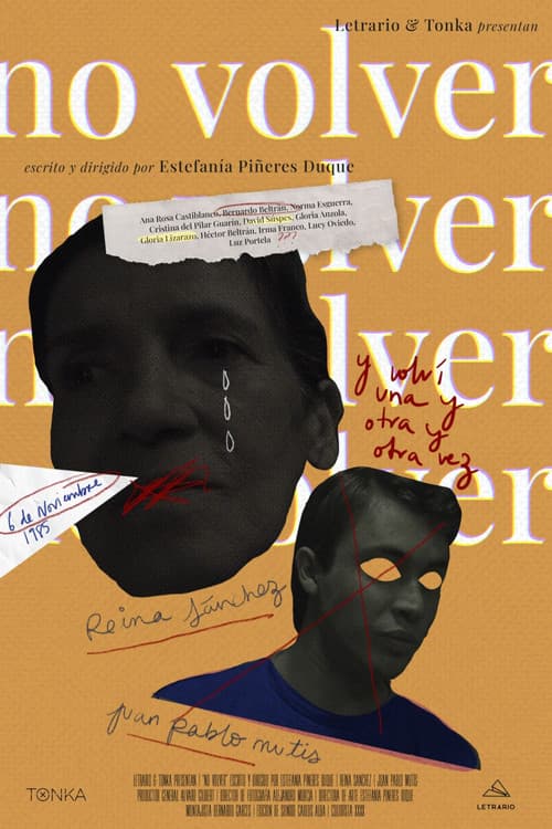 Poster for No volver