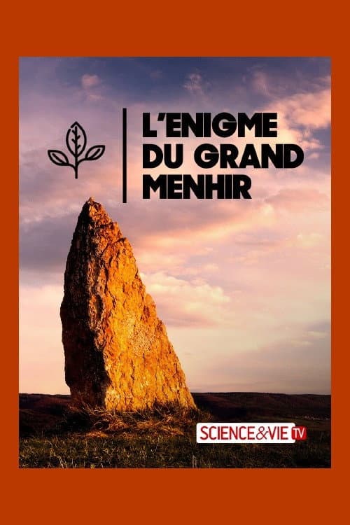 Poster for L'énigme du grand menhir