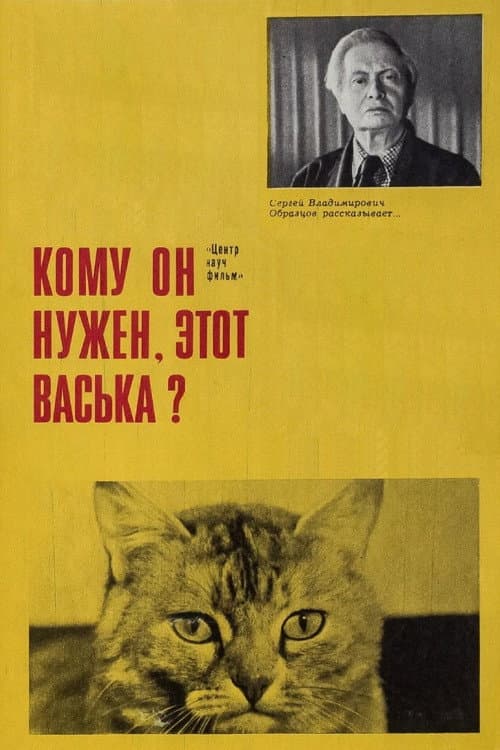 Poster for Who Needs This Vaska Anyway!