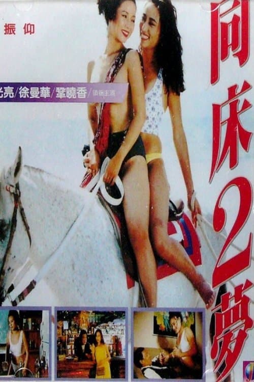 Poster for The Lady Punisher