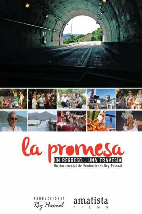 Poster for La promesa