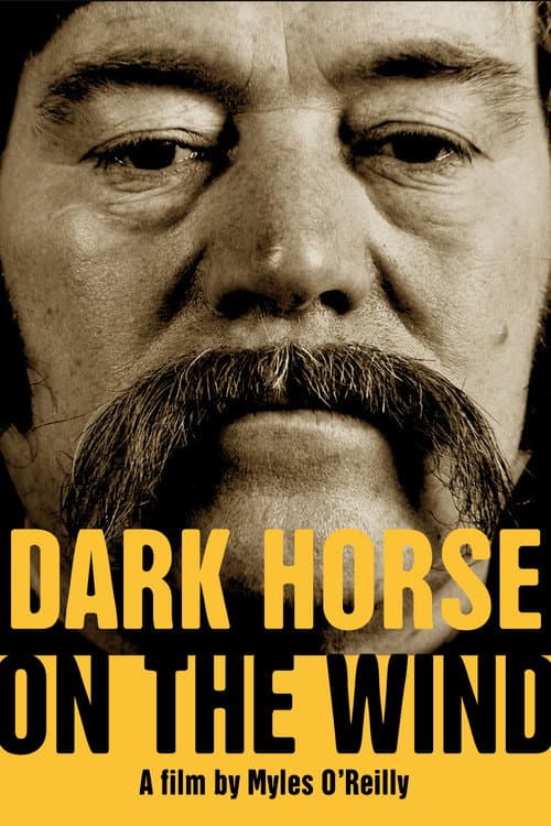 Poster for Dark Horse on the Wind