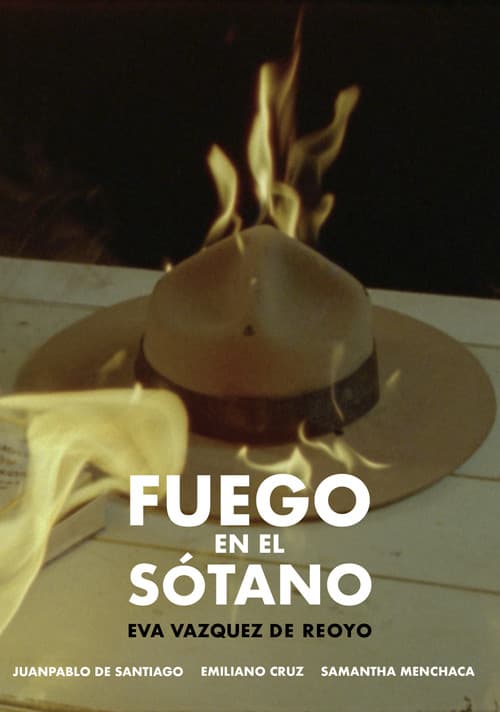 Poster for Fire In The Basement
