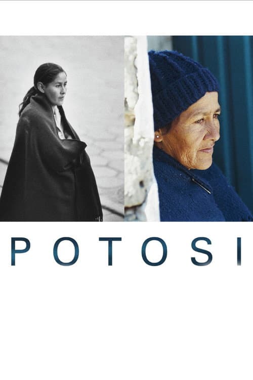 Poster for Potosi: The Journey