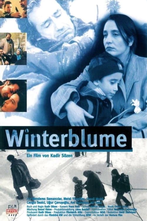 Poster for Winter Flowers