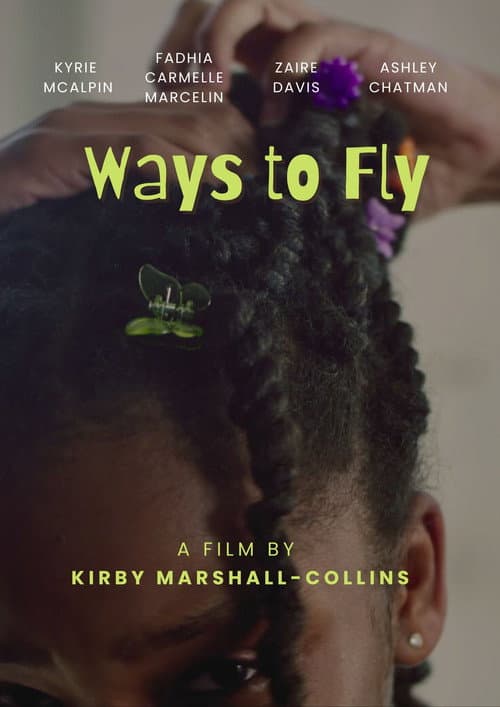 Poster for Ways to Fly
