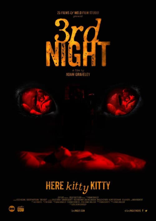 Poster for 3rd Night