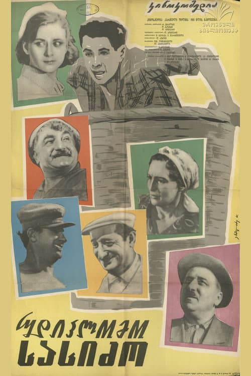 Poster for Son-in-law without Diploma