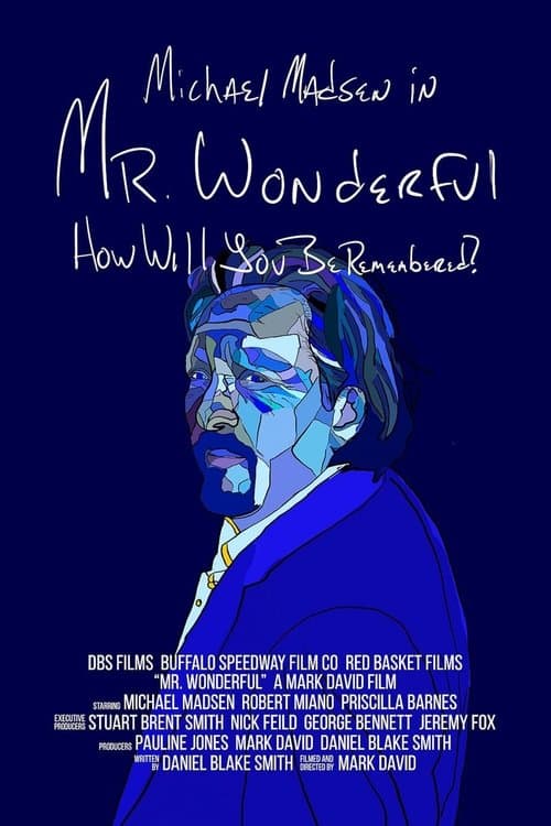 Постер до фільму «Mr. Wonderful»