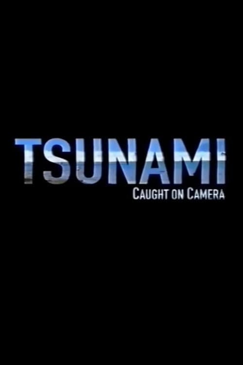 Poster for Tsunami: Caught on Camera