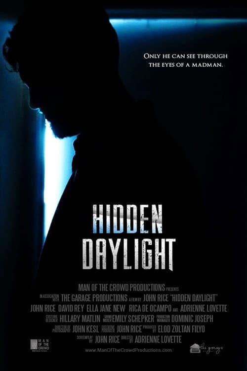 Poster for Hidden Daylight